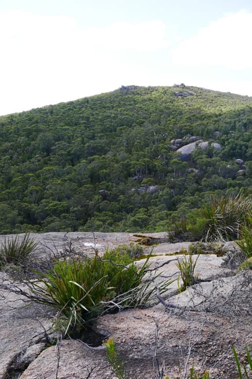 Mount Lindesay National Park view